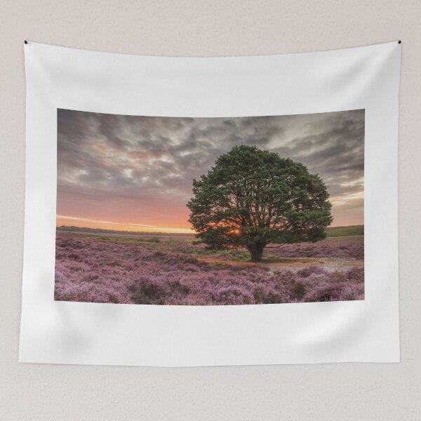 Item preview, Sunrise on Roydon Common designed and sold by dp-images.