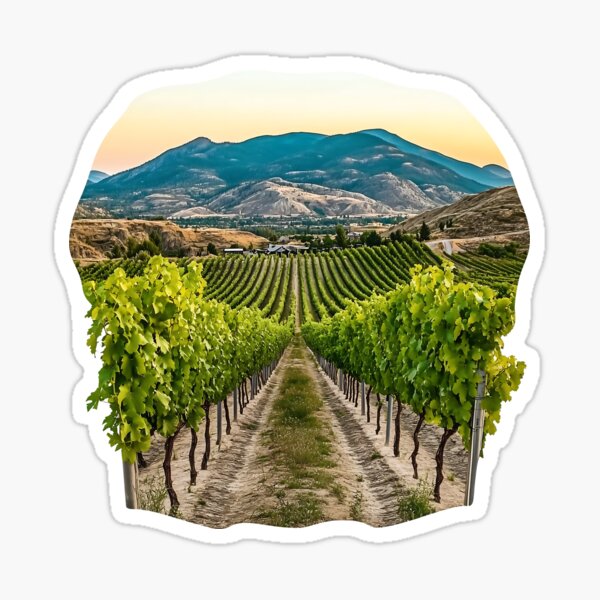 Item preview, South Okanagan Vineyard Winery Country British Columbia designed and sold by meganohm.