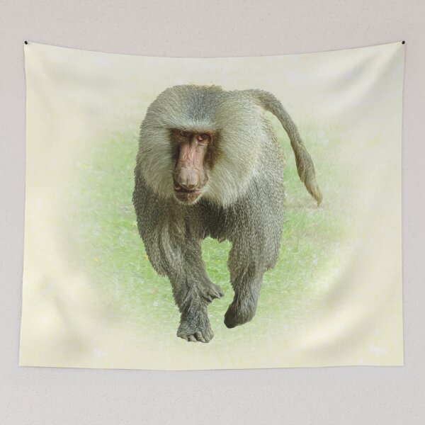 Item preview, Baboon designed and sold by Guardi71.