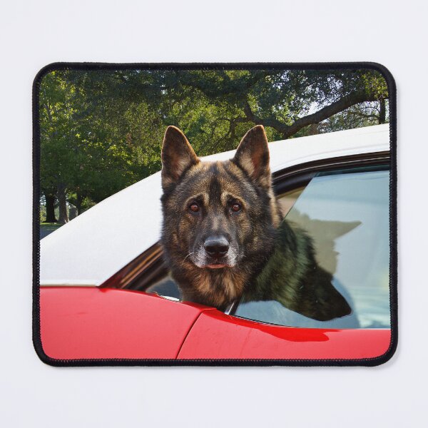 Item preview, Anti-Theft Security Feature designed and sold by DaveKoontz.