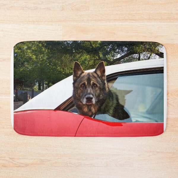 Item preview, Anti-Theft Security Feature designed and sold by DaveKoontz.