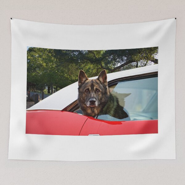 Item preview, Anti-Theft Security Feature designed and sold by DaveKoontz.