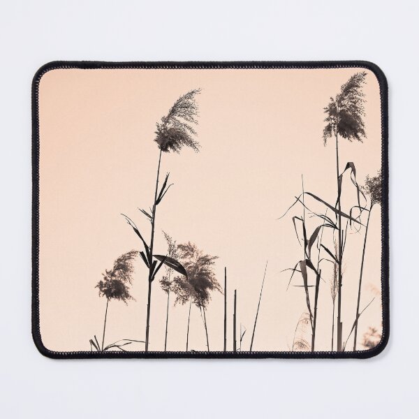 Item preview, Pampas Grass designed and sold by OpenSpacesArt.