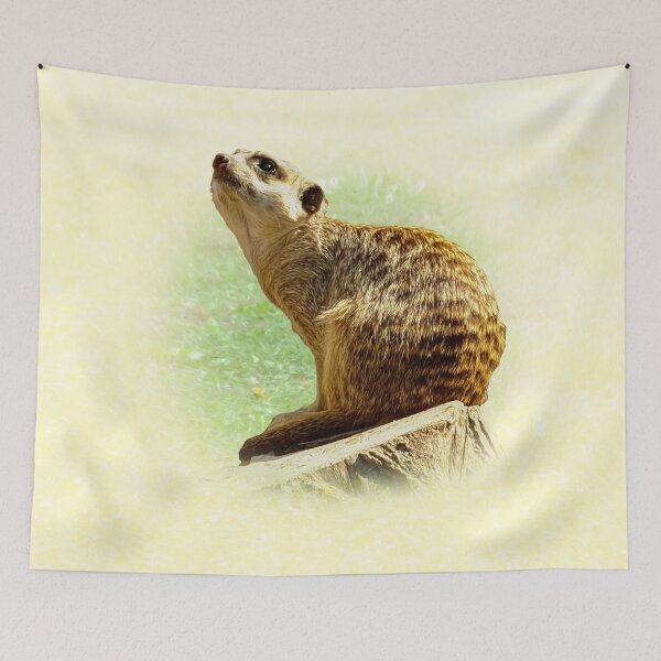 Item preview, Meerkat designed and sold by Guardi71.