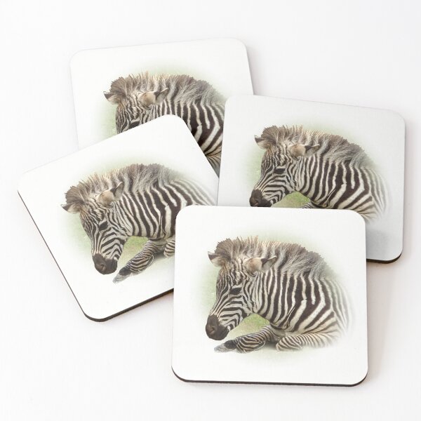 Item preview, Little zebra designed and sold by Guardi71.
