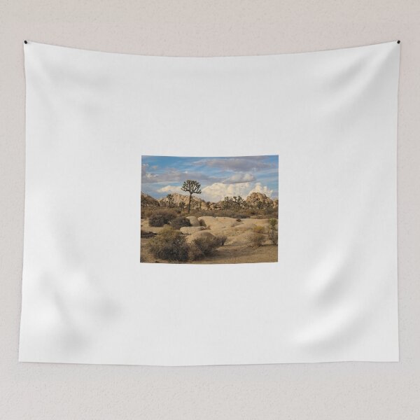 Item preview, Stormy Evening at Joshua Tree National Park  designed and sold by Scenic West - Photos by Angel.
