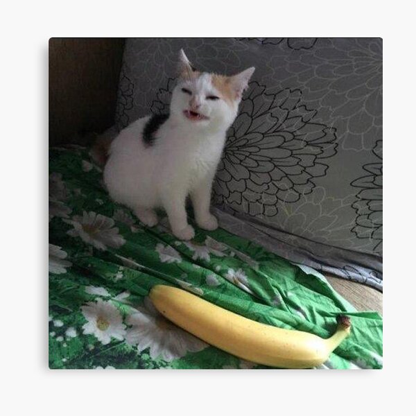 "Banana Cat" Canvas Print by PapaKnox Redbubble