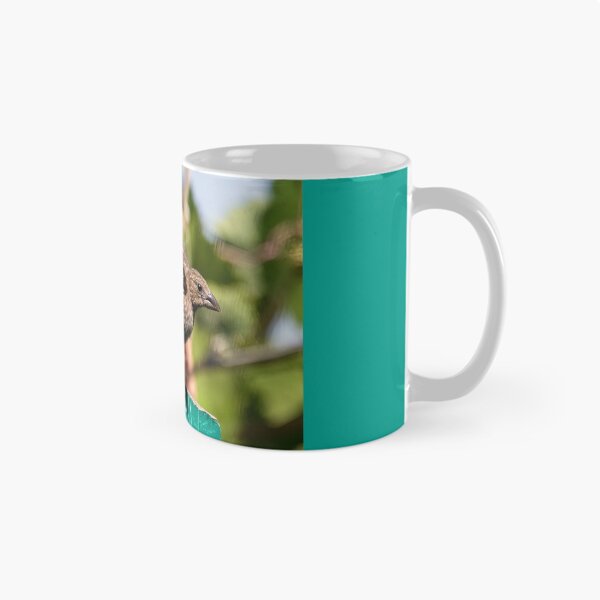 Item preview, Male and Female House Finch designed and sold by CarolM.