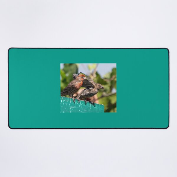 Item preview, Male and Female House Finch designed and sold by CarolM.