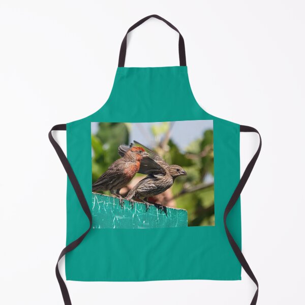 Item preview, Male and Female House Finch designed and sold by CarolM.