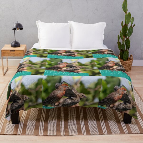 Item preview, Male and Female House Finch designed and sold by CarolM.