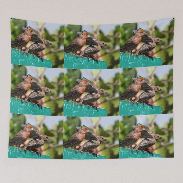 Item preview, Male and Female House Finch designed and sold by CarolM.