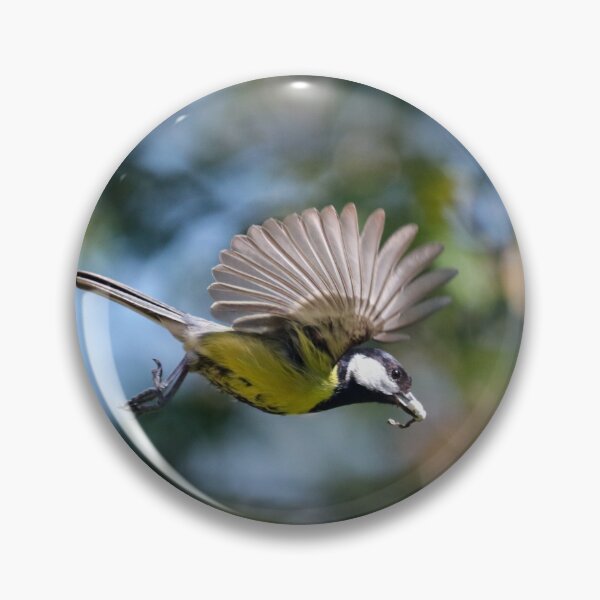 Item preview, Great tit cleaning out her nest designed and sold by GreyFeatherPhot.
