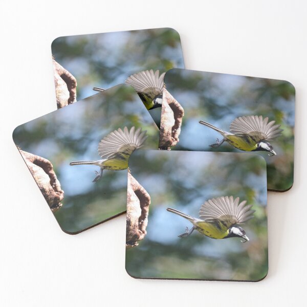 Item preview, Great tit cleaning out her nest designed and sold by GreyFeatherPhot.