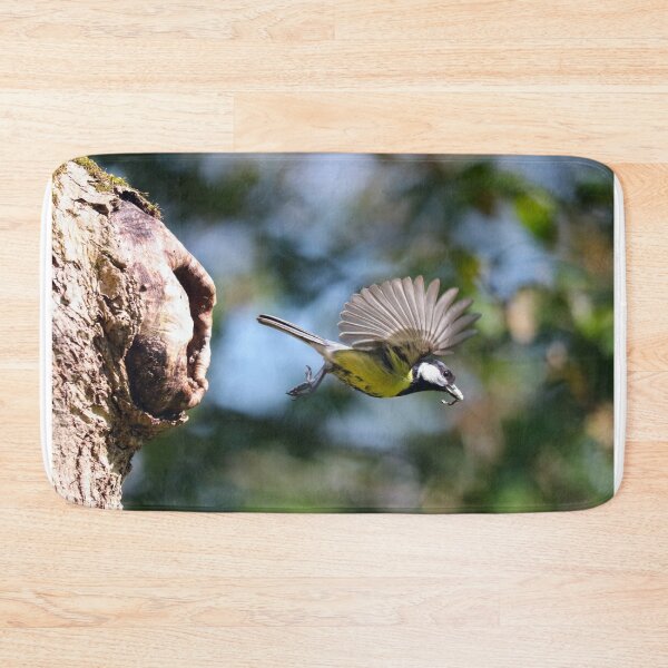 Item preview, Great tit cleaning out her nest designed and sold by GreyFeatherPhot.