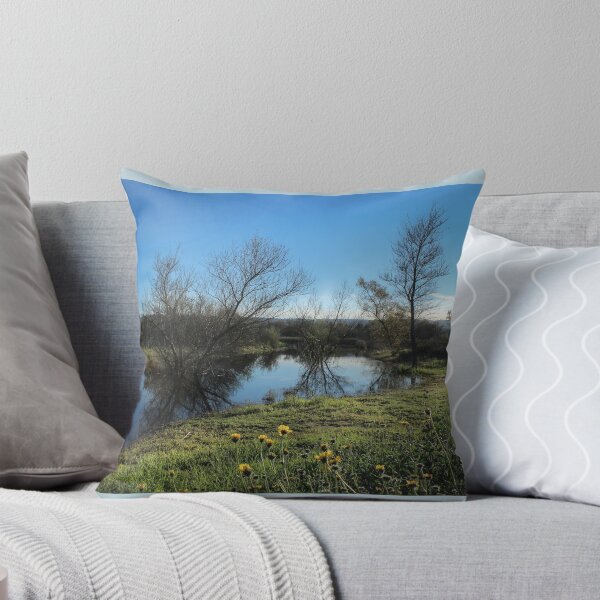 Item preview, Vernal Pool, Madrona Marsh Preserve designed and sold by Scenic West - Photos by Angel.