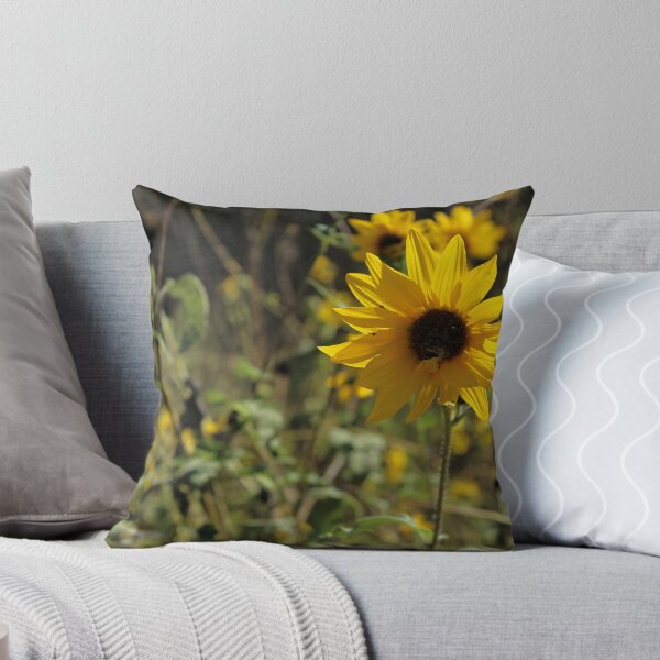 Item preview, Bush Sunflowers at Madrona Marsh designed and sold by Scenic West - Photos by Angel.