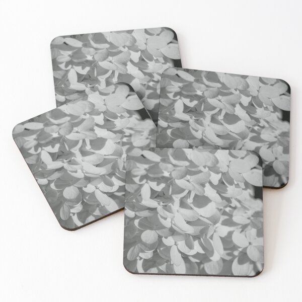 Item preview, Hydrangeas in bnw designed and sold by Cblifeisgood.