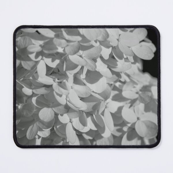 Item preview, Hydrangeas in bnw designed and sold by Cblifeisgood.