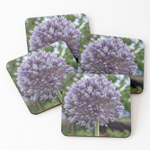 Artikelvorschau, Allium-Blüte entworfen und verkauft von SeptemberMorn.