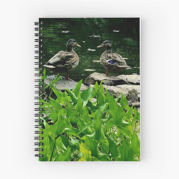 Aperçu de l'œuvre Canards créée et vendue par NBCJDesigns.