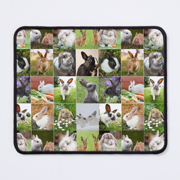 Item preview, Adorable Bunny Photo Collage designed and sold by ColorfulPrints.