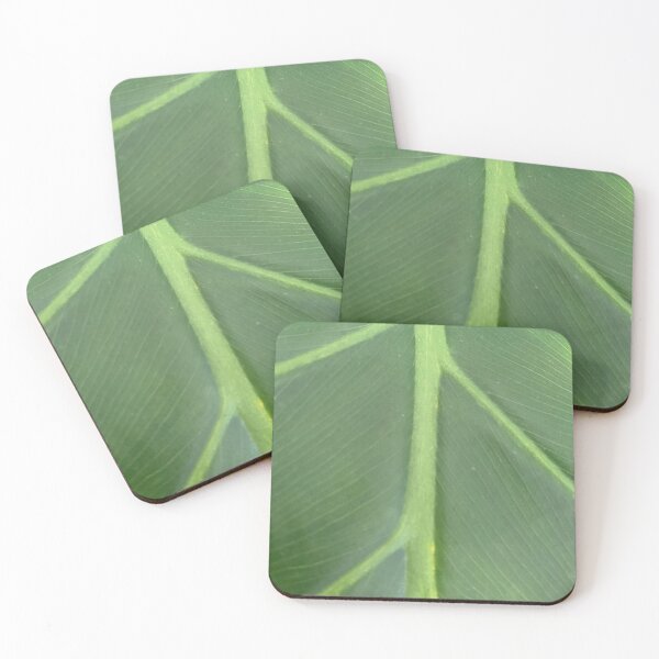 Item preview, Tropical Leaf Close Up designed and sold by CJRPics.