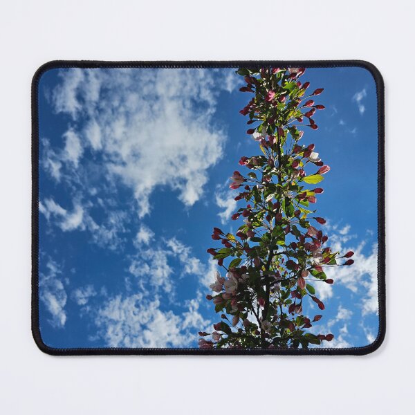 Item preview, Branch of Blossoms into the Sky designed and sold by Quincy-Hedgehog.