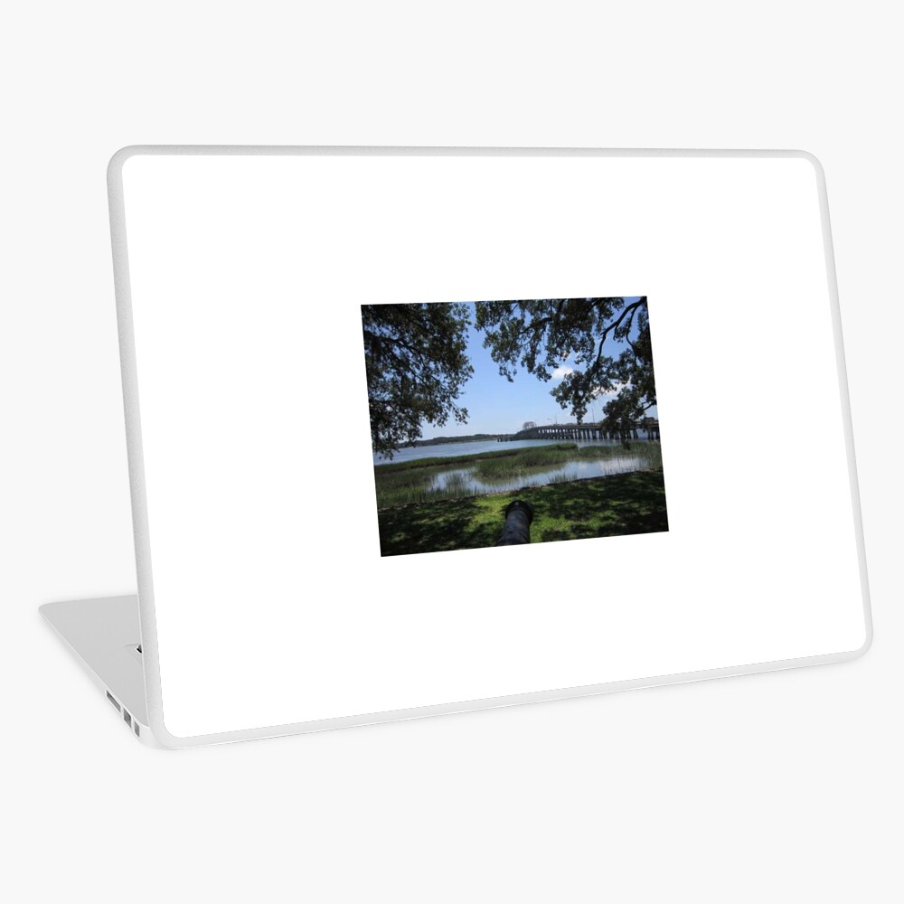 Item preview, Laptop Skin designed and sold by CatcatcherCornr.