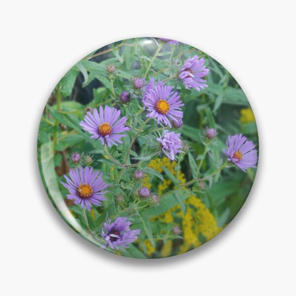 Aperçu de l'œuvre Aster pour la sagesse, l'espoir et la fortune créée et vendue par ShwethaSSK.