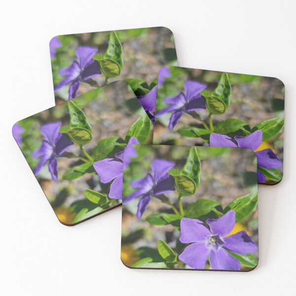 Item preview, Closeup on a Purple Vinca designed and sold by Quincy-Hedgehog.