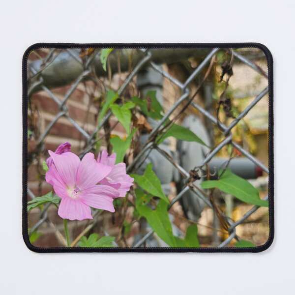 Item preview, Musk Mallow in the Chain-Link Fence designed and sold by Quincy-Hedgehog.