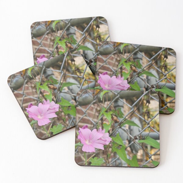 Item preview, Musk Mallow in the Chain-Link Fence designed and sold by Quincy-Hedgehog.