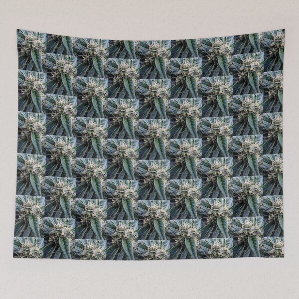 Item preview, Close Ups designed and sold by VioletVends.