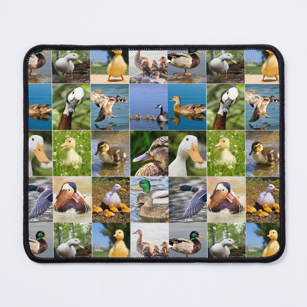 Item preview, Cute Ducks Photo Collage designed and sold by ColorfulPrints.