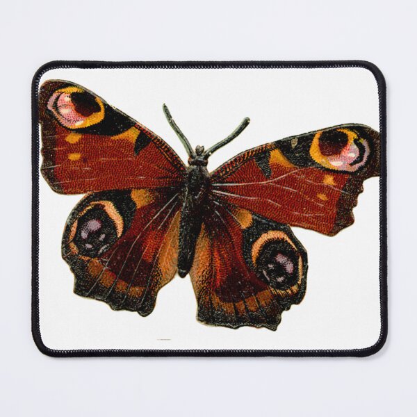 Item preview, Peacock butterfly. designed and sold by claireseyeview.