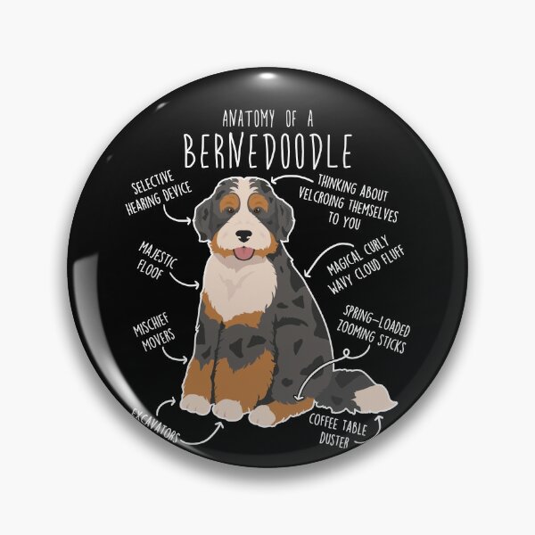 Item preview, Black Merle Bernedoodle Dog Anatomy designed and sold by Clara Hollins.