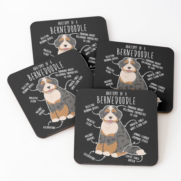 Item preview, Black Merle Bernedoodle Dog Anatomy designed and sold by Clara Hollins.
