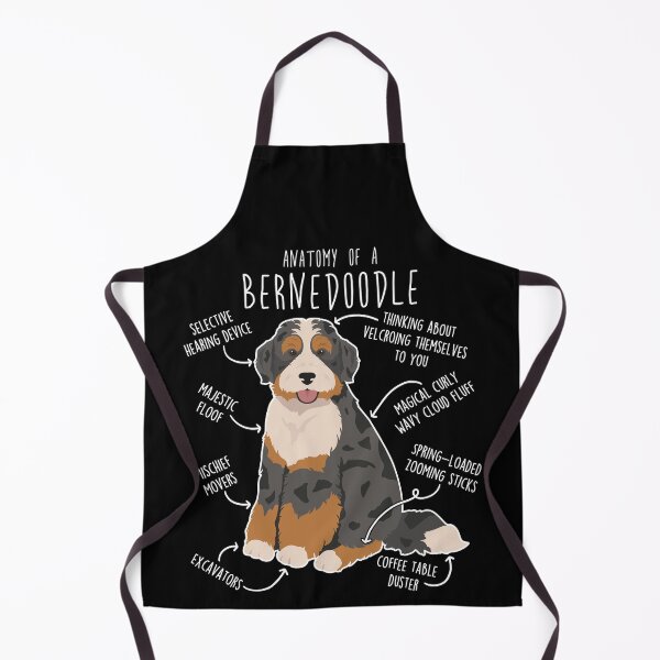 Aperçu de l'œuvre Anatomie du Bernedoodle noir merle créée et vendue par Clara Hollins.