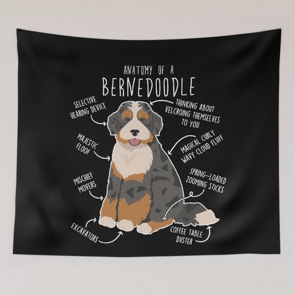 Item preview, Black Merle Bernedoodle Dog Anatomy designed and sold by Clara Hollins.
