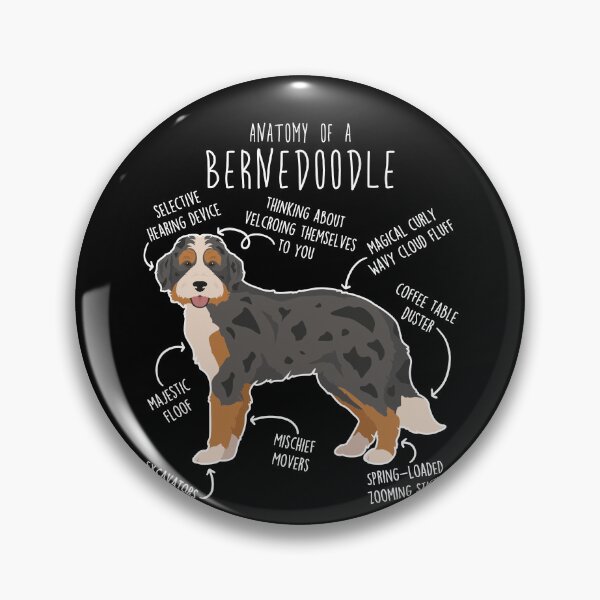Item preview, Black Merle Bernedoodle Dog Anatomy designed and sold by Clara Hollins.