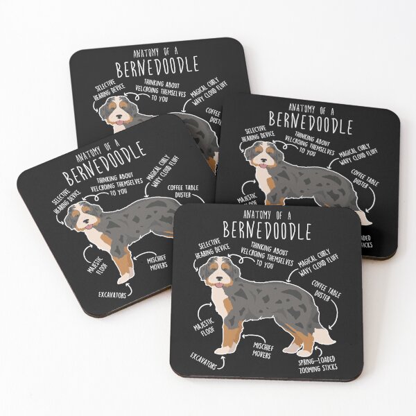 Item preview, Black Merle Bernedoodle Dog Anatomy designed and sold by Clara Hollins.