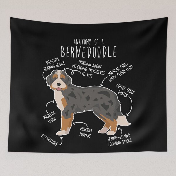 Item preview, Black Merle Bernedoodle Dog Anatomy designed and sold by Clara Hollins.