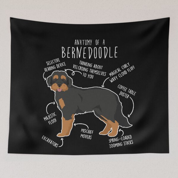 Item preview, Black Phantom Bernedoodle Dog Anatomy designed and sold by Clara Hollins.