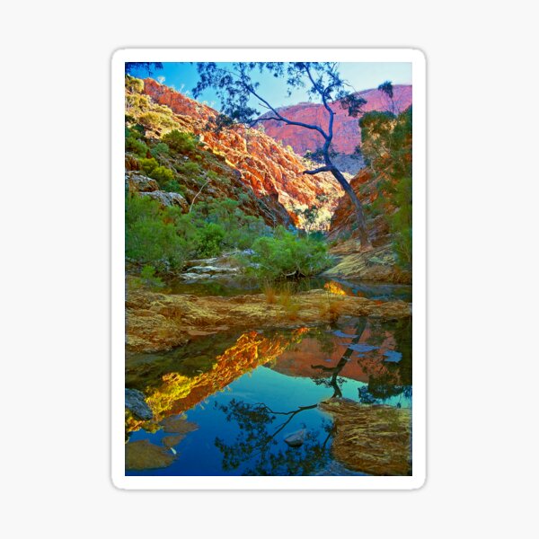 Rockpool relections, Central Australia. Sticker
