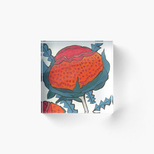 Item preview, Banksia - Coaster designed and sold by Seirah Woodward.