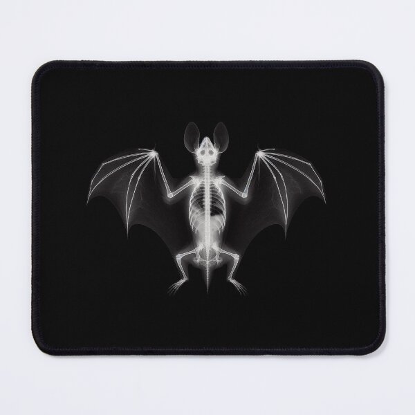 Item preview, Bat Skeleton X-Ray designed and sold by zzz888.