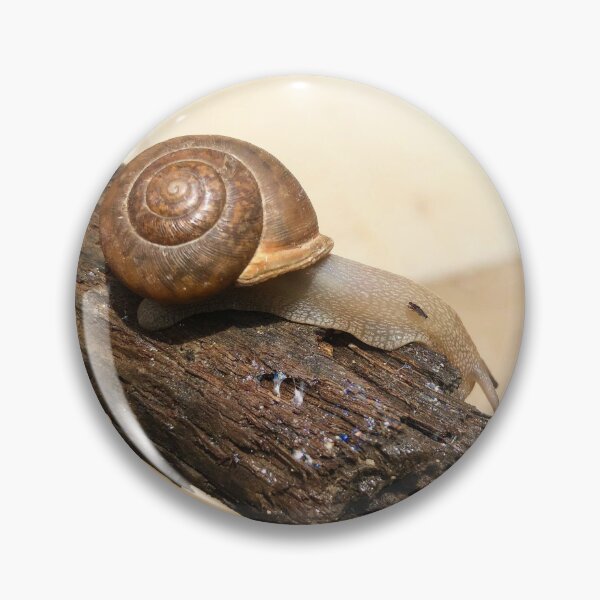 Item preview, Knotting Hills Snail designed and sold by ReenaBeanPaints.