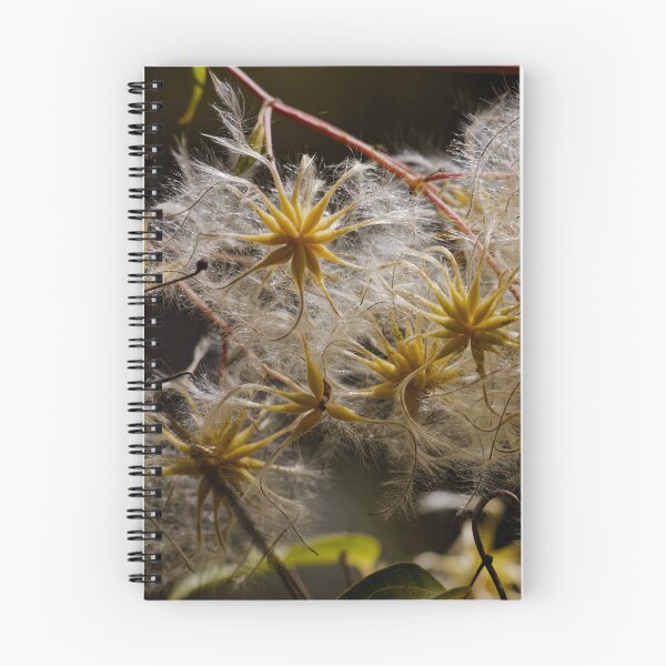 Item preview, Mysterious flowers in Watsons Creek designed and sold by Mrtweety.