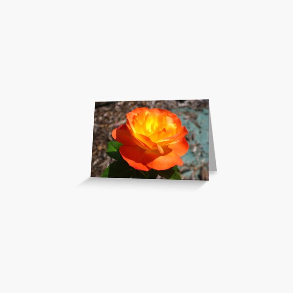 Item preview, Sumptuous Judy Garland Rose Performing in Vibrant Orange and Yellow designed and sold by JoyousArt4u.